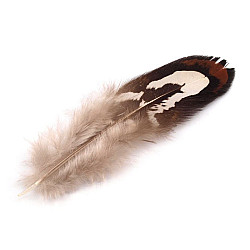 Pene decorative fazan, lungime 4-10 cm (pachet 10 buc.) - taupe