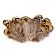 Pene decorative fazan, lungime 4.5-8.5 cm (pachet 10 buc.) - natural Pene decorative fazan, lungime 4.5-8.5 cm (pachet 10 buc.) - natural