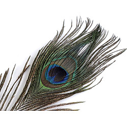 Pană decorativă de păun, lungime 20-30 cm