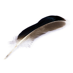 Pene decorative de rață, lungime 10-14 cm (pachet 20 buc.) - maro