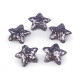 Steluțe decorative cu paiete, ø35 mm - Argintiu (100 Bucăți) Steluțe decorative cu paiete, ø35 mm - Argintiu (100 Bucăți)