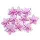 Mărgele floare, ø25 mm - Transparent (800 Bucăți)