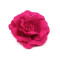 Broșă / clamă de păr trandafir, ø6 cm - Fuchsia închis (12 Bucăți)