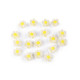 Mărgele din plastic floare ø13 mm - Galben deschis (180 Grame) Mărgele din plastic floare ø13 mm - Galben deschis (180 Grame)
