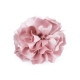 Brosa / podoaba capilara floare din satin ø11 cm - Roz somon deschis (1 Bucată) Brosa / podoaba capilara floare din satin ø11 cm - Roz somon deschis (1 Bucată)