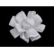 Floare din satin ø6,5 cm - Alb (1 Bucată)
