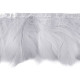 Bandă din pene de gâscă 6-8 cm - Roșu (1 Metru) Bandă din pene de gâscă 6-8 cm - Roșu (1 Metru)