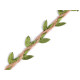 Șnur decorativ din iută cu frunze, lățime 25 mm - Ecru natural (10 Metri) Șnur decorativ din iută cu frunze, lățime 25 mm - Ecru natural (10 Metri)