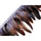 Bandă din pene de cocoș 14-16 cm - Gri neutral (10 Metri) Bandă din pene de cocoș 14-16 cm - Gri neutral (10 Metri)