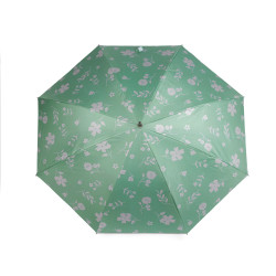 Umbrelă pentru femei - Verde salvie deschis (1 Bucată)