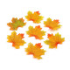 Frunze de arţar decorative, 8x8 cm - Orange-yellow (100 Bucăți) Frunze de arţar decorative, 8x8 cm - Orange-yellow (100 Bucăți)