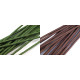 Sârmă flori verde / maro, ø2,5 mm, lungime 40 cm - Verde ferigă (20 Bucăți) Sârmă flori verde / maro, ø2,5 mm, lungime 40 cm - Verde ferigă (20 Bucăți)