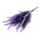 Buchet de levănțică - Violet (1 Buchet)