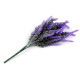 Buchet de levănțică - Violet (1 Buchet)