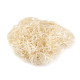 Lâna de lemn, 10 g - Ecru deschis (4 Saci)