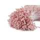 Pistile flori - Crem foarte deschis (1 Buchet) Pistile flori - Crem foarte deschis (1 Buchet)