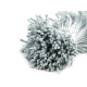 Pistile flori - Crem foarte deschis (1 Buchet) Pistile flori - Crem foarte deschis (1 Buchet)