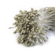 Pistile flori - Crem foarte deschis (1 Buchet) Pistile flori - Crem foarte deschis (1 Buchet)