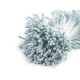 Pistile flori - Crem foarte deschis (1 Buchet) Pistile flori - Crem foarte deschis (1 Buchet)
