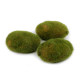 Pietre decorative cu muschi - Verde (1 Bucată) Pietre decorative cu muschi - Verde (1 Bucată)