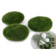 Pietre decorative cu muschi - Verde (1 Bucată) Pietre decorative cu muschi - Verde (1 Bucată)