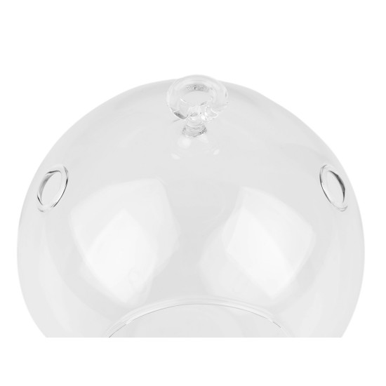 Terariu glob de sticlă, ø12 cm - Transparent (6 Bucăți) Terariu glob de sticlă, ø12 cm - Transparent (6 Bucăți)
