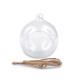 Terariu glob de sticlă, ø10 cm - Transparent (8 Bucăți)