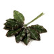 Frunze de trandafir artificiale - Verde deschis (144 Bucăți)