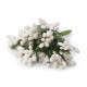 Pistile flori - Verde deschis (12 Bucăți) Pistile flori - Verde deschis (12 Bucăți)
