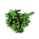 Pistile flori - Verde deschis (12 Bucăți) Pistile flori - Verde deschis (12 Bucăți)