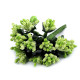 Pistile flori - Verde deschis (12 Bucăți) Pistile flori - Verde deschis (12 Bucăți)