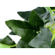 Iederă artificială aranjamente florale - Verde (20 Bucăți) Iederă artificială aranjamente florale - Verde (20 Bucăți)