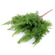 Ferigă artificială aranjamente florale cal a 2-a - Verde ferigă (2 Buchete) Ferigă artificială aranjamente florale cal a 2-a - Verde ferigă (2 Buchete)