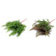 Ferigă artificială aranjamente florale cal a 2-a - Verde ferigă (2 Buchete) Ferigă artificială aranjamente florale cal a 2-a - Verde ferigă (2 Buchete)