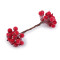 Baies artificielles givrées pour composition - Rouge (20 Pièces)