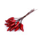Chilli artificial pentru aranjamente - Roșu (24 Bucăți)