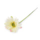 Gerbera artificială - Crem deschis (3 Bucăți)