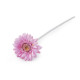 Gerbera artificială - Crem deschis (3 Bucăți)