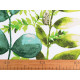 Bumbac imprimat - Verde (10 Metri)