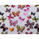 Țesătură de bumbac / pânză fluture - Gri foarte deschis (10 Metri) Țesătură de bumbac / pânză fluture - Gri foarte deschis (10 Metri)