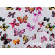 Țesătură de bumbac / pânză fluture - Gri foarte deschis (10 Metri) Țesătură de bumbac / pânză fluture - Gri foarte deschis (10 Metri)