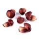 Ciuperci artificiale - Red-brown (1 Sac) Ciuperci artificiale - Red-brown (1 Sac)