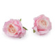 Floare de trandafir artificiala ø5 cm - Crem deschis (10 Bucăți) Floare de trandafir artificiala ø5 cm - Crem deschis (10 Bucăți)
