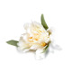 Floare artificiala ø6 cm - Crem foarte deschis (30 Bucăți) Floare artificiala ø6 cm - Crem foarte deschis (30 Bucăți)