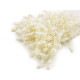 Pistile flori - Roz pudrat (1 Buchet) Pistile flori - Roz pudrat (1 Buchet)