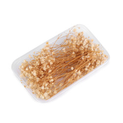 Voalul miresei uscat/stabilizat pentru aranjamente florale - Natur (1 Cutie)