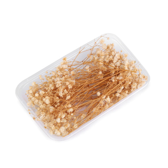 Voalul miresei uscat/stabilizat pentru aranjamente florale - Verde deschis (4 Cutii) Voalul miresei uscat/stabilizat pentru aranjamente florale - Verde deschis (4 Cutii)