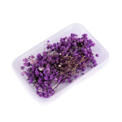 Voalul miresei uscat/stabilizat pentru aranjamente florale - Violet (1 Cutie)