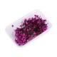 Voalul miresei uscat/stabilizat pentru aranjamente florale - Verde deschis (4 Cutii) Voalul miresei uscat/stabilizat pentru aranjamente florale - Verde deschis (4 Cutii)