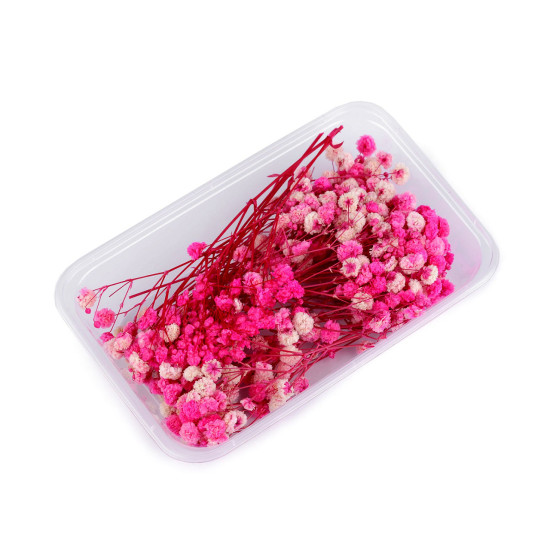 Voalul miresei uscat/stabilizat pentru aranjamente florale - Verde deschis (4 Cutii) Voalul miresei uscat/stabilizat pentru aranjamente florale - Verde deschis (4 Cutii)